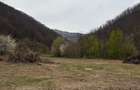 Vand parcele Valea Ierii Frasinet - 2