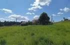 3900 mp teren intravilan in Poiana Stampei - 1