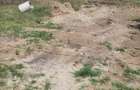 Teren de 22000 mp, în Podu Turcului - 4