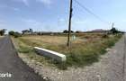 Teren intravilan 1450 mp 397 DN1F - Loc. Ghenci - Jud. Satu Mare - 3