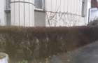Spațiu comercial, de 88 mp, în Griviței - 5