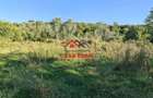 Teren intravilan in Cornu (Ph)--1490 mp--29e - 14