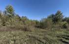 Teren imprejmuit cu iaz indiguit, 7200mp, Fratautii Vechi, R - 4