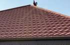 Vila Tilia Vlasiei | Good Residence | langa padure - 5