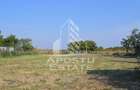 Teren intravilan de vanzare la Foeni, 13200 mp, front 24 m, Timis - 6