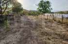 Casă bătrânească la stradă, Podari-Livezi, teren 822 mp - 3