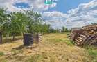 Cladire 446 mp | Teren 1.579 mp Nojorid - 10