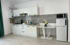 Apartament cu 1 camera mobilat si utilat la parter in Giroc la asfalt. - 4