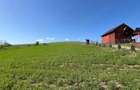 2000mp(toate utilitatile!) in Valea Calda - Catina - 3