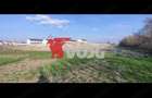 Teren 10000mp-Sacalaz de vanzare - 11