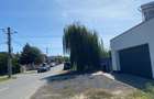 casa noua 4 camere tip duplex, 300 mp teren-dumbravita