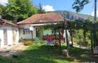 Casa si padure de vanzare in satul Mada comuna Balsa - 13
