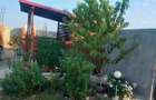 proprietar casa individuala comuna frumusani,sat padurisu - 10