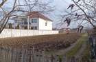 Vand sau inchiriez teren intravilan parcelabil in Costeiu - Zona Primaria Liceu Costeiu - 2