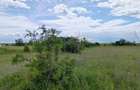 Teren extravilan, 114000 mp, Parc industrial West Park - 18
