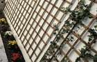 Casa 3 camere renovata complet, ultracentral, langa Tomis Mall - 1