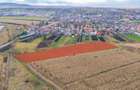 Teren extravilan Bod, 10.000 mp, acces DE 290, zona spre Harman - 2