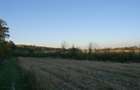 Inchiriere/vanzare 1800-25.000 euro/ha,90ha Contesti direct proprietar - 4