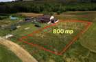 800 mp intravilan sat Purcareni Com Tarlungeni - 8