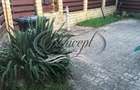 Zona UMF, casa de inchiriat cu curte - 3