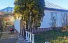 Casa Vanzare Valea Mare Pravat, Arges - 6
