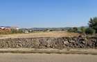 Teren intravilan 6600 m2 cu PUZ