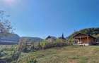 Teren 1500 mp intravilan + cabana rustica Sighisoara - 3