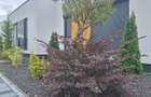 DUPLEX GIARMATA VII-MOBILAT SI UTILAT- OPORTUNITATE! - 19