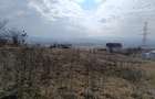 Vand teren extravilan zona Sub Coasta - Hodai - 4