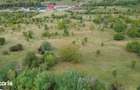 Teren 8.043 mp la DN73C Berevoesti 3/mp! Oportunitate rara - 4