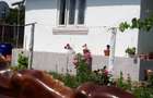 Vand casa batraneasca cu teren mare sat Tarsa, com Stangaceaua, jud Mehedinti - 8