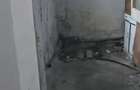 CASA GRATIS Sect.4 LUICA 2 Camere Necesita Renovare - 2