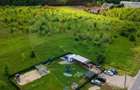 Teren intravilan de vanzare 1000 mp Baneasa sector 1