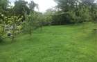 Teren Rm. Valcea, central- Stirbei Voda - 1