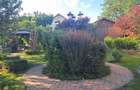 Suceava Scheia Vila P+E+M 240mp LUX  mobilata si dotata complet Teren 1000mp ame