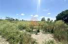 Teren Intravilan 1700 mp - Localitatea Amzacea - 5