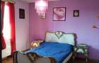 Balotesti Spital SRI, Edenland - 8