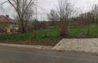 Teren intravilan de vanzare - 7
