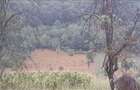 Vand teren intravilan foarte mare, 6700m2 in loc. Buceava, Com. Gurahont