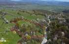 Teren 15.856 mp de vanzare in comuna Valea Ia?ului, jude? Arge?. - 10