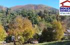 3600 mp teren intravilan, sat Bistrita, 14 Euro/mp