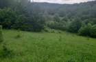 Teren de 2200 mp, în Dăești - 4