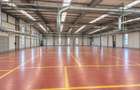 Hala pentru productie sau depozitare de inchiriat, Oradea - 2