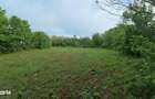 Domeniu de 13.054 mp cu vila de ~1.000mpc si lac privat Teisori, Bulbu