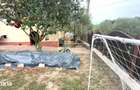 CASA 3 CAMERE TEREN 262 MP BUGHEA DE JOS ARGE? - 14