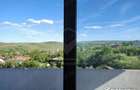 Casa semifinisata, 175 mp, garaj, teren 600 mp, expunere sud, panorama, Dezmir - 9
