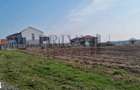 Teren intravilan, 701 mp, fs 17.8 ml, Dumbravi?a - 1