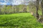 Vand teren Valea Doftanei - 10