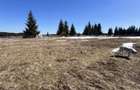 Teren Intravilan de 1804 mp , CF, zona Copcea , Marisel - 4