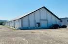 Hale Tg. Neamt, bd. St. cel Mare, depozitare, de la 250mp la 2000mp - 14